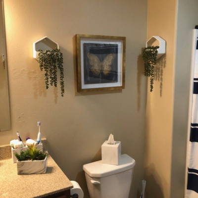 
                                                                    Our Work
                                                            